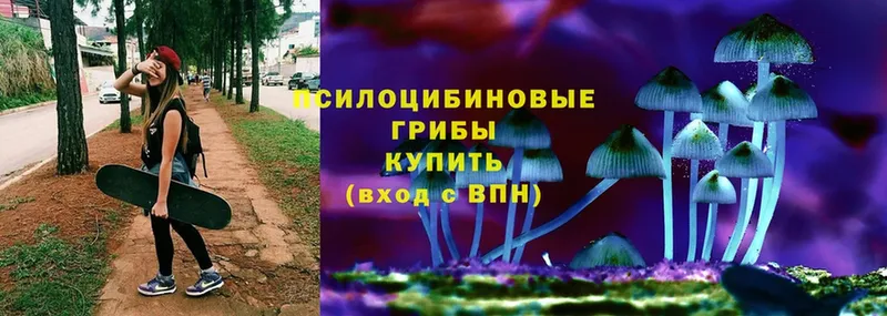 Псилоцибиновые грибы Psilocybe  Заречный 